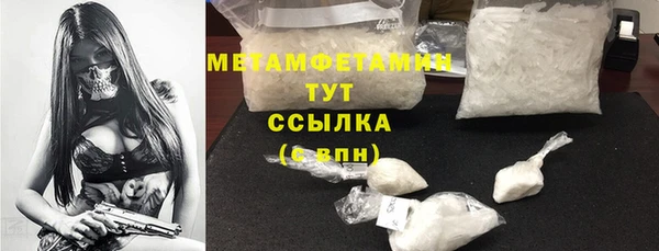 шишки Бородино
