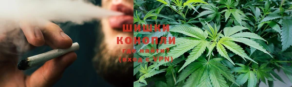 шишки Бородино