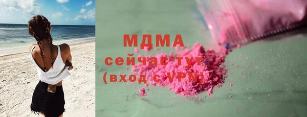 шишки Бородино