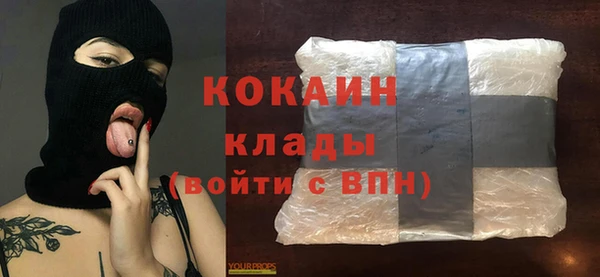 шишки Бородино