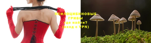 шишки Бородино