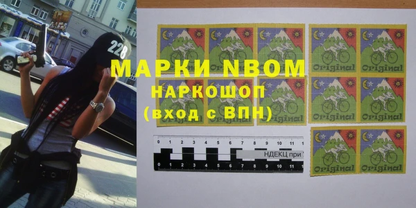 шишки Бородино