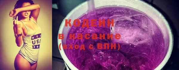 шишки Бородино