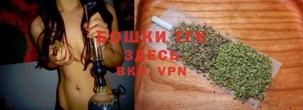 шишки Бородино